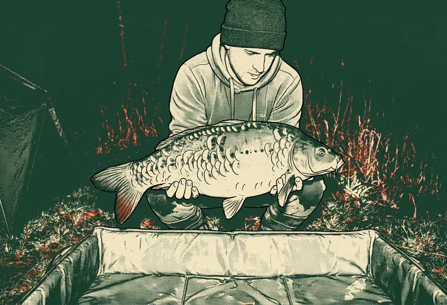The mirror carp as a two-colour print in the style of an old tackle catalogue